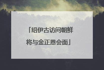 绍伊古访问朝鲜 将与金正恩会面