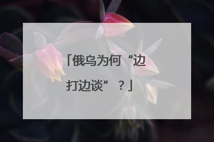 俄乌为何“边打边谈”？
