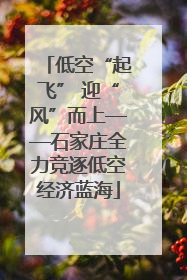 低空“起飞” 迎“风”而上——石家庄全力竞逐低空经济蓝海