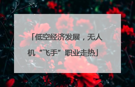 低空经济发展，无人机“飞手”职业走热