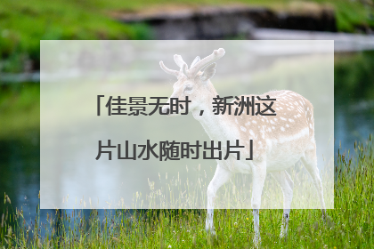 佳景无时，新洲这片山水随时出片