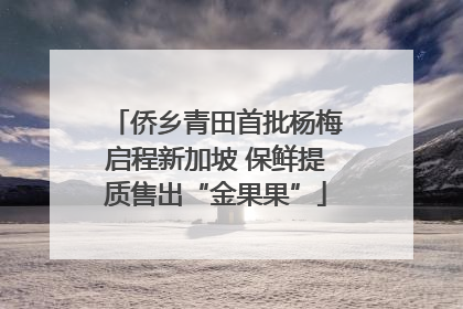 侨乡青田首批杨梅启程新加坡 保鲜提质售出“金果果”