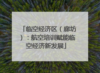 临空经济区（廊坊）：航空培训赋能临空经济新发展