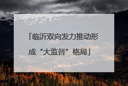 临沂双向发力推动形成“大监督”格局