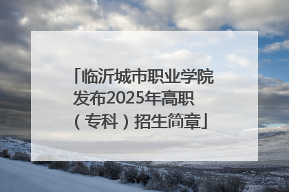 临沂城市职业学院发布2025年高职（专科）招生简章