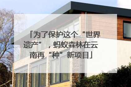 为了保护这个“世界遗产”，蚂蚁森林在云南再“种”新项目