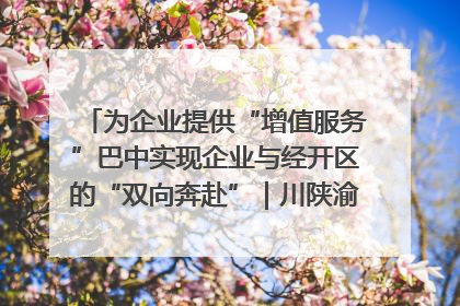 为企业提供“增值服务”巴中实现企业与经开区的“双向奔赴”｜川陕渝网络名人巴中行