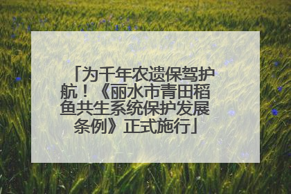 为千年农遗保驾护航！《丽水市青田稻鱼共生系统保护发展条例》正式施行