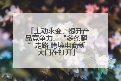 主动求变、提升产品竞争力、“多条腿”走路 跨境电商新大门在打开