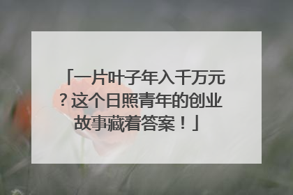 一片叶子年入千万元？这个日照青年的创业故事藏着答案！