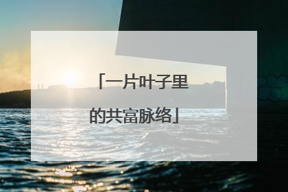 一片叶子里的共富脉络