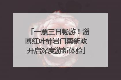 一票三日畅游！淄博红叶柿岩门票新政开启深度游新体验