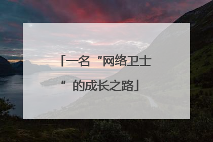一名“网络卫士”的成长之路
