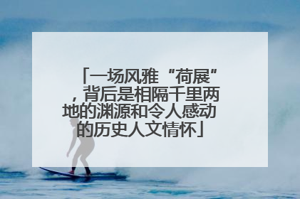 一场风雅“荷展”，背后是相隔千里两地的渊源和令人感动的历史人文情怀