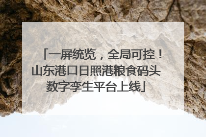 一屏统览，全局可控！山东港口日照港粮食码头数字孪生平台上线