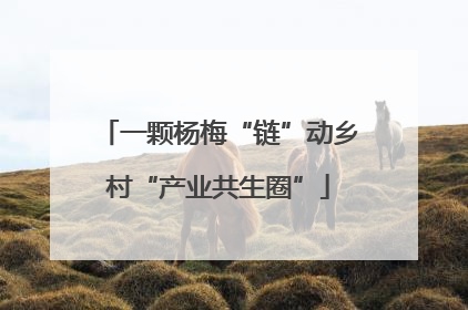 一颗杨梅“链”动乡村“产业共生圈”