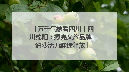 万千气象看四川｜四川绵阳：擦亮文旅品牌 消费活力继续释放