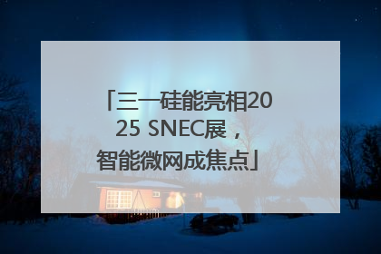 三一硅能亮相2025 SNEC展，智能微网成焦点