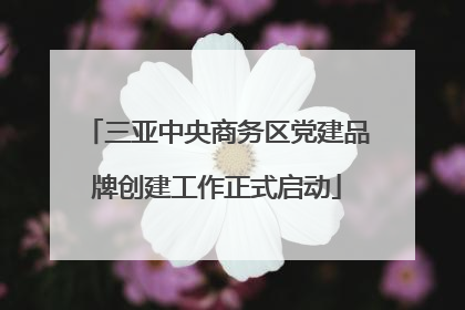 三亚中央商务区党建品牌创建工作正式启动