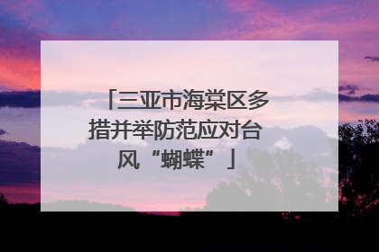 三亚市海棠区多措并举防范应对台风“蝴蝶”