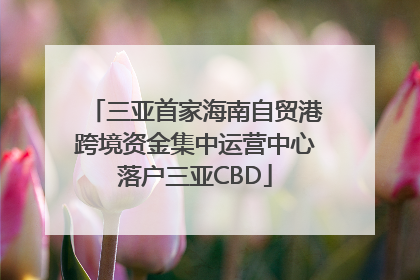 三亚首家海南自贸港跨境资金集中运营中心落户三亚CBD