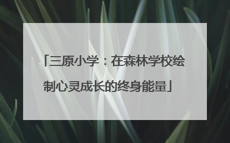 三原小学：在森林学校绘制心灵成长的终身能量