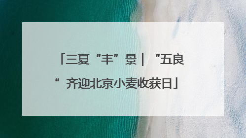 三夏“丰”景｜“五良”齐迎北京小麦收获日