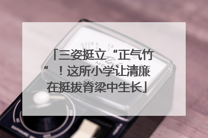 三姿挺立“正气竹”！这所小学让清廉在挺拔脊梁中生长