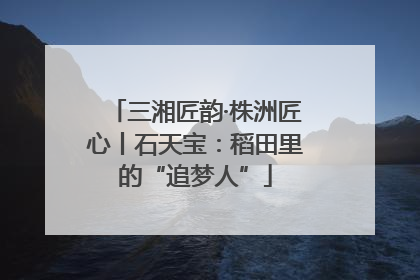 三湘匠韵·株洲匠心丨石天宝：稻田里的“追梦人”