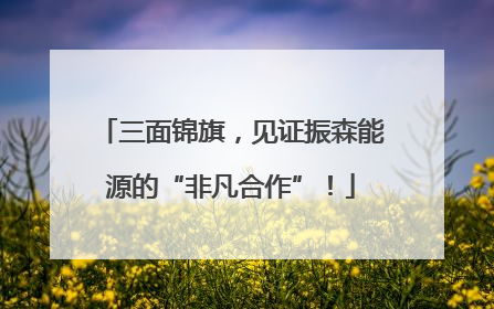 三面锦旗，见证振森能源的“非凡合作”！