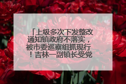 上级多次下发整改通知镇政府不落实，被市委巡察组抓现行！吉林一副镇长受党内警告处分