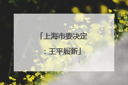 上海市委决定：王平履新