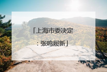 上海市委决定：张鸣履新