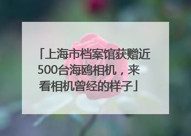 上海市档案馆获赠近500台海鸥相机，来看相机曾经的样子