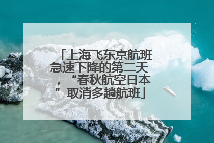 上海飞东京航班急速下降的第二天，“春秋航空日本”取消多趟航班
