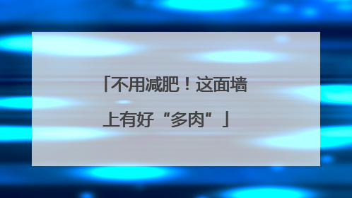 不用减肥！这面墙上有好“多肉”