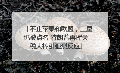 不止苹果和欧盟，三星也被点名 特朗普再挥关税大棒引强烈反应