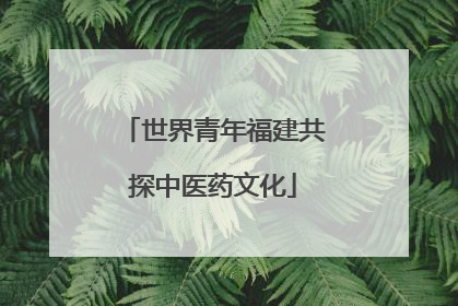 世界青年福建共探中医药文化