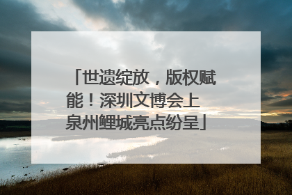 世遗绽放，版权赋能！深圳文博会上 泉州鲤城亮点纷呈