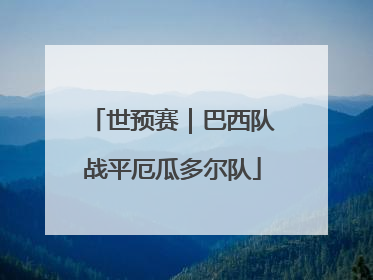 世预赛｜巴西队战平厄瓜多尔队