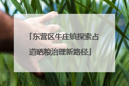 东营区牛庄镇探索占道晒粮治理新路径