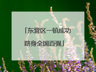 东营区一镇成功跻身全国百强