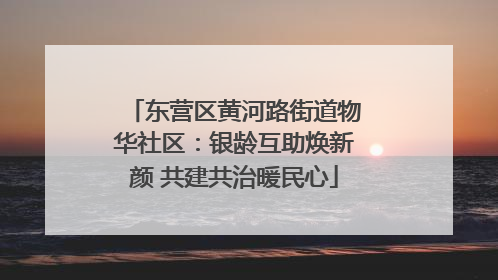 东营区黄河路街道物华社区：银龄互助焕新颜 共建共治暖民心