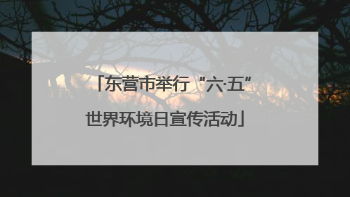 东营市举行“六·五”世界环境日宣传活动