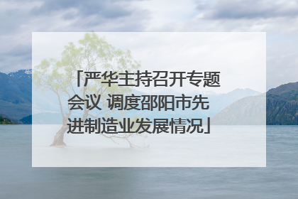 严华主持召开专题会议 调度邵阳市先进制造业发展情况