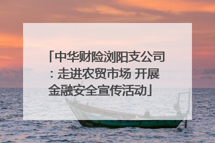 中华财险浏阳支公司：走进农贸市场 开展金融安全宣传活动