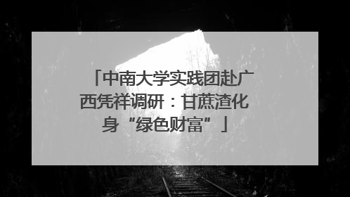 中南大学实践团赴广西凭祥调研：甘蔗渣化身“绿色财富”