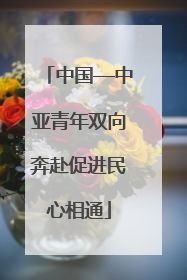 中国—中亚青年双向奔赴促进民心相通