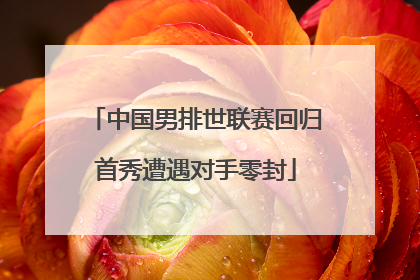 中国男排世联赛回归首秀遭遇对手零封