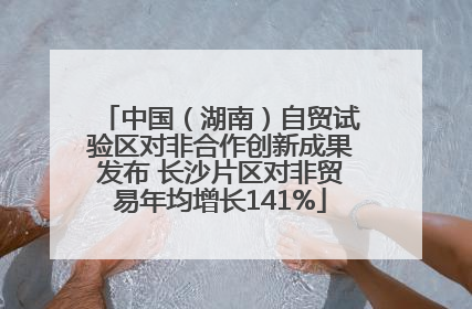中国（湖南）自贸试验区对非合作创新成果发布 长沙片区对非贸易年均增长141%